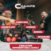 Boxing Reflex Ball Set with Punch Counter App