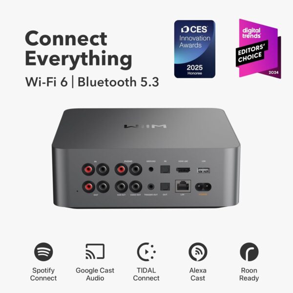 WiiM Ultra Music Streamer, DAC & Preamp